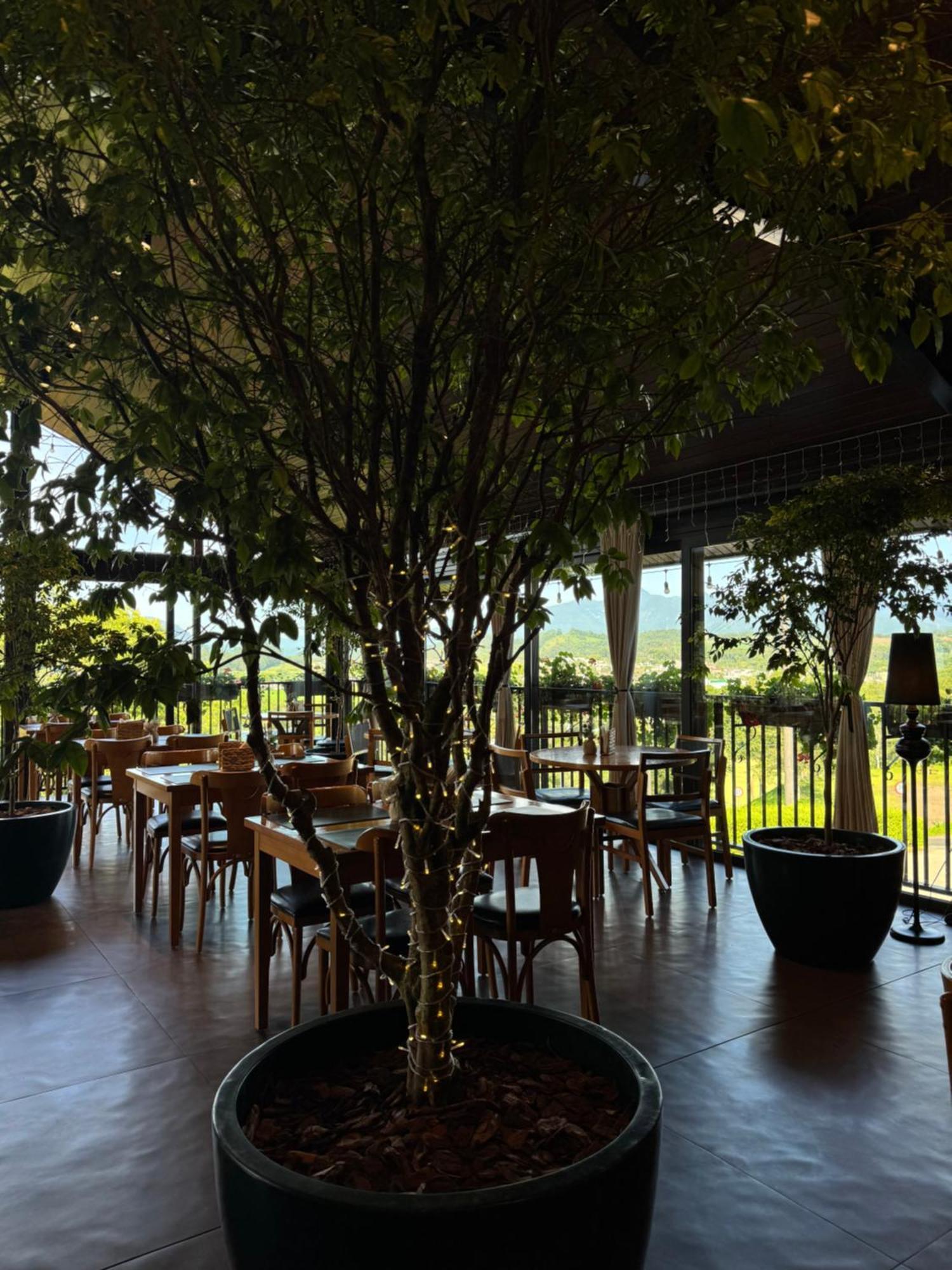 Bormon Hotel Nova Veneza  Dış mekan fotoğraf